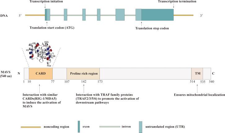 https://cdn.ncbi.nlm.nih.gov/pmc/blobs/1aa8/10602740/ac0414f63df5/fimmu-14-1266461-g001.jpg