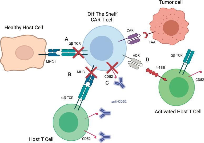 https://cdn.ncbi.nlm.nih.gov/pmc/blobs/1aa8/7821739/9d089cd55f54/fimmu-11-618427-g003.jpg