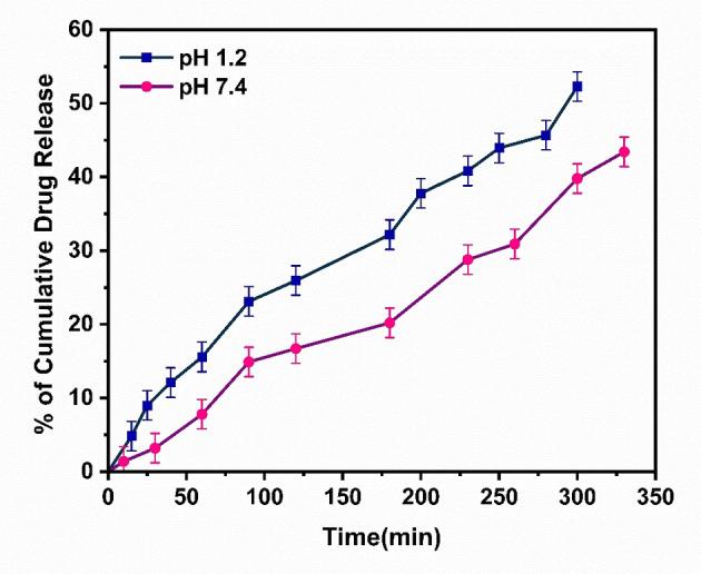 https://cdn.ncbi.nlm.nih.gov/pmc/blobs/1aaa/11808263/2236b3227b44/OPEN-14-e202400277-g004.jpg
