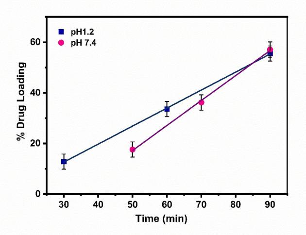 https://cdn.ncbi.nlm.nih.gov/pmc/blobs/1aaa/11808263/50e8d335f38b/OPEN-14-e202400277-g002.jpg