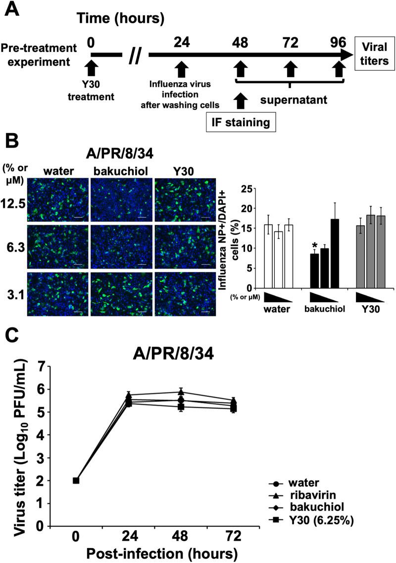 https://cdn.ncbi.nlm.nih.gov/pmc/blobs/1aaa/7810313/7268805f21bd/pone.0244885.g004.jpg