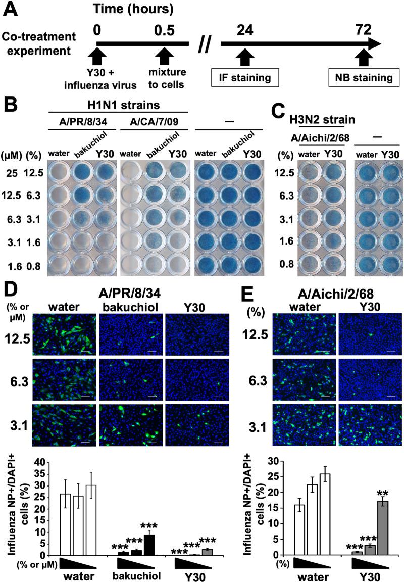 https://cdn.ncbi.nlm.nih.gov/pmc/blobs/1aaa/7810313/ba29e8d13d62/pone.0244885.g002.jpg