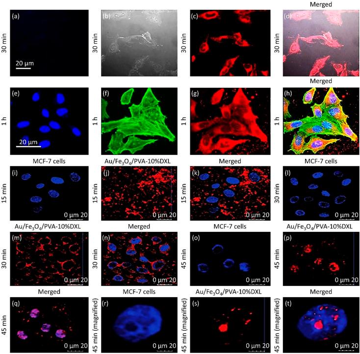 https://cdn.ncbi.nlm.nih.gov/pmc/blobs/1aaa/9764328/3d0b6d068dca/d2ra06888e-f7.jpg
