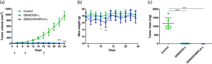 https://cdn.ncbi.nlm.nih.gov/pmc/blobs/1aac/7823124/d66ee75855ba/BTM2-6-e10188-g006.jpg