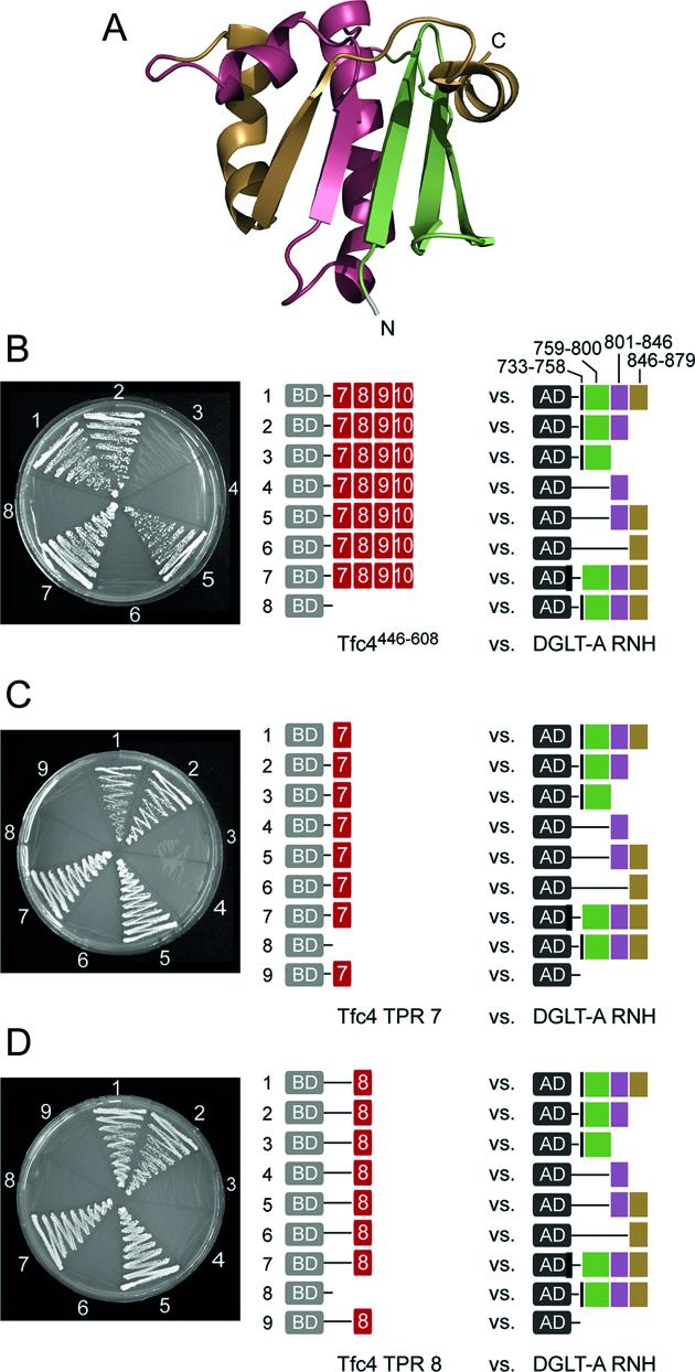 https://cdn.ncbi.nlm.nih.gov/pmc/blobs/1aaf/6101501/4f9b5939ddf8/gky582fig4.jpg