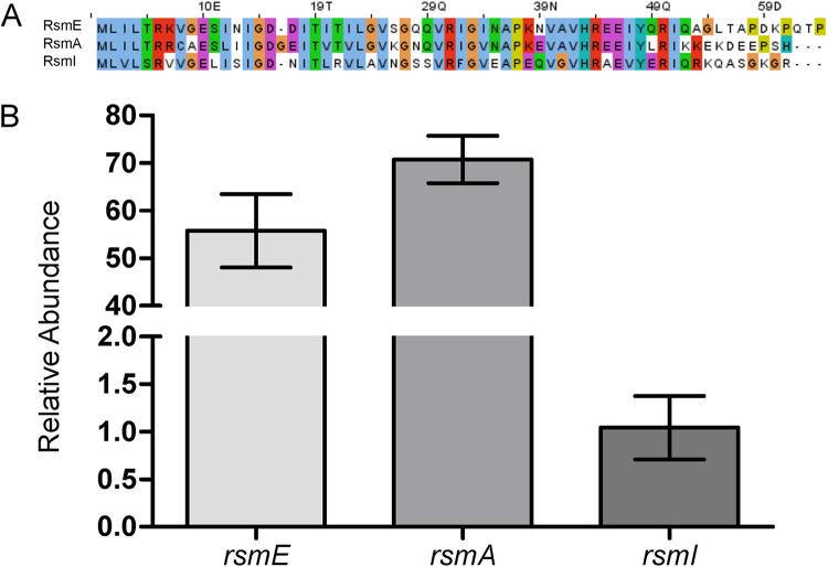 https://cdn.ncbi.nlm.nih.gov/pmc/blobs/1aaf/9578434/50c9e5c0e9c8/jb.00285-22-f001.jpg