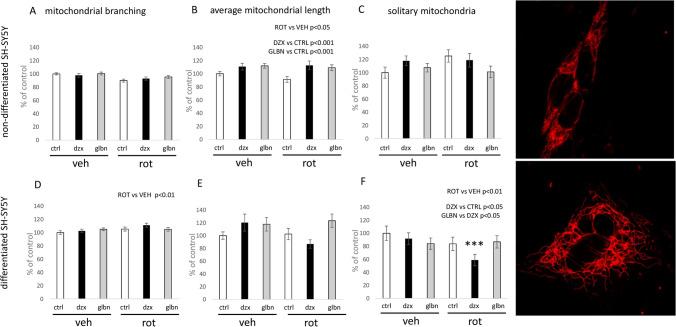 https://cdn.ncbi.nlm.nih.gov/pmc/blobs/1ab0/11217133/a77087939b88/10863_2024_10018_Fig7_HTML.jpg
