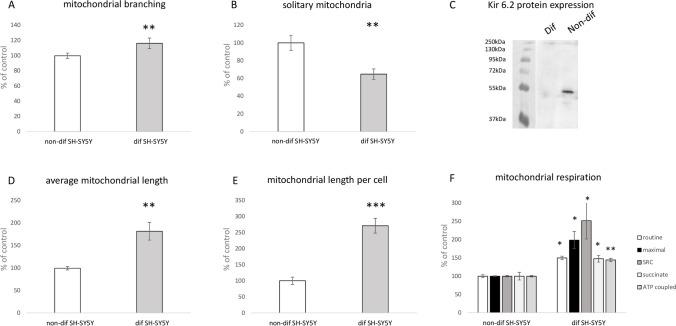 https://cdn.ncbi.nlm.nih.gov/pmc/blobs/1ab0/11217133/ee4778abfc33/10863_2024_10018_Fig3_HTML.jpg