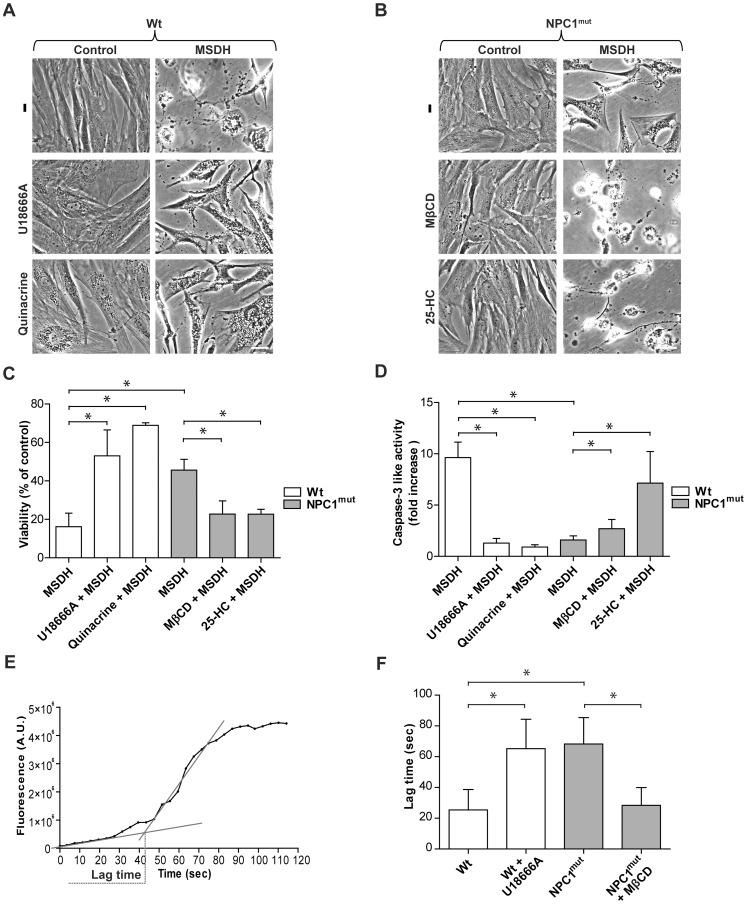 https://cdn.ncbi.nlm.nih.gov/pmc/blobs/1ab1/3500374/6253734676aa/pone.0050262.g002.jpg