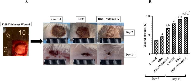 https://cdn.ncbi.nlm.nih.gov/pmc/blobs/1ab2/11648314/94d717e08c34/gr7.jpg