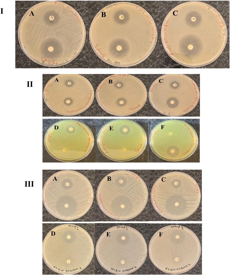 https://cdn.ncbi.nlm.nih.gov/pmc/blobs/1ab2/11648314/b4030ef5d390/gr6.jpg