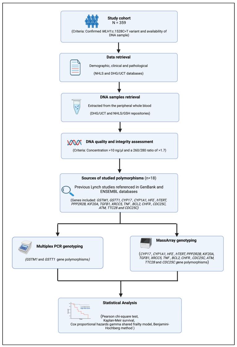 https://cdn.ncbi.nlm.nih.gov/pmc/blobs/1ab5/11505229/7003b9226514/biomedicines-12-02201-g001.jpg