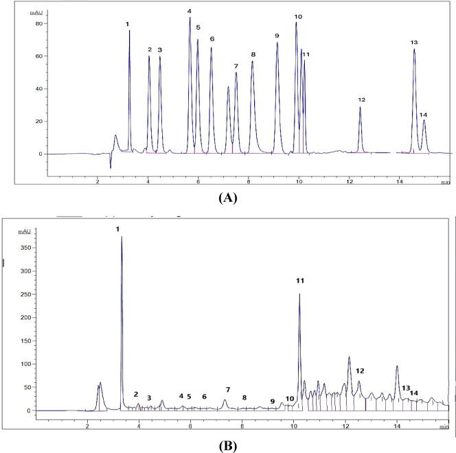 https://cdn.ncbi.nlm.nih.gov/pmc/blobs/1ab8/12092607/493786dbd96f/41598_2025_773_Fig5_HTML.jpg