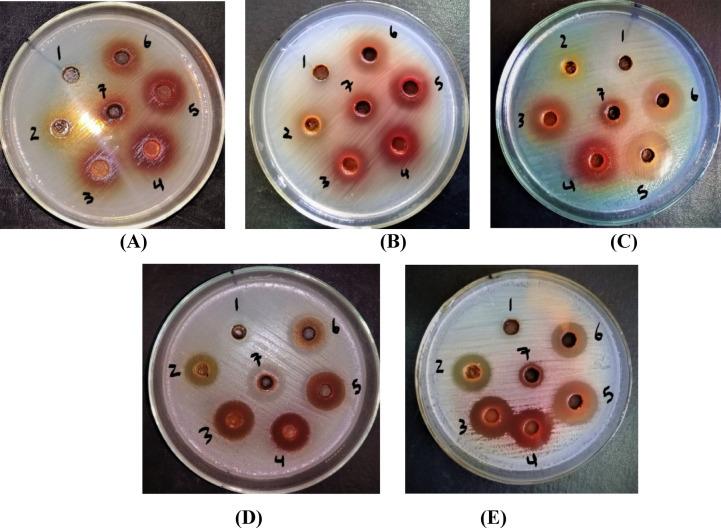 https://cdn.ncbi.nlm.nih.gov/pmc/blobs/1ab8/12092607/7a5666edba80/41598_2025_773_Fig3_HTML.jpg