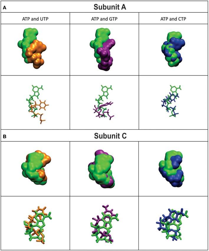 https://cdn.ncbi.nlm.nih.gov/pmc/blobs/1ab8/5474683/8624d887eec0/fchem-05-00041-g0004.jpg