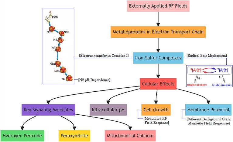 https://cdn.ncbi.nlm.nih.gov/pmc/blobs/1abc/10469173/de48f42f1895/41598_2023_41167_Fig1_HTML.jpg