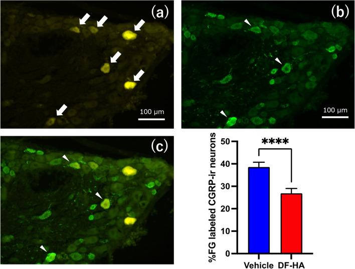 https://cdn.ncbi.nlm.nih.gov/pmc/blobs/1abe/9641934/1c48d02800ea/12891_2022_5937_Fig2_HTML.jpg
