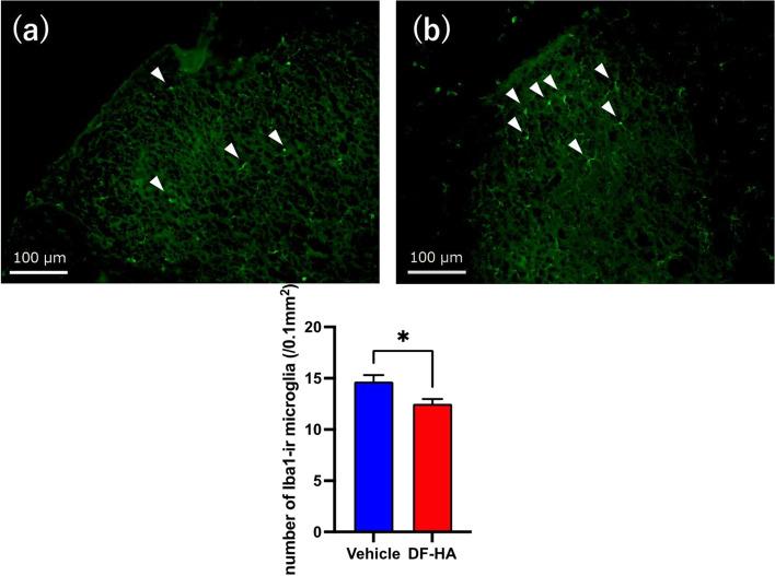 https://cdn.ncbi.nlm.nih.gov/pmc/blobs/1abe/9641934/6b5f9f567190/12891_2022_5937_Fig3_HTML.jpg