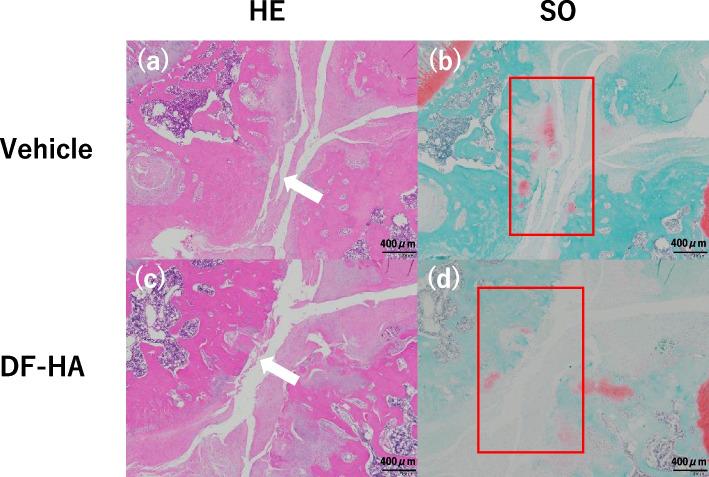 https://cdn.ncbi.nlm.nih.gov/pmc/blobs/1abe/9641934/6dfa12fa1efa/12891_2022_5937_Fig4_HTML.jpg