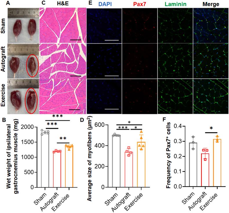 https://cdn.ncbi.nlm.nih.gov/pmc/blobs/1abf/9673108/25b4920039d6/gr4.jpg