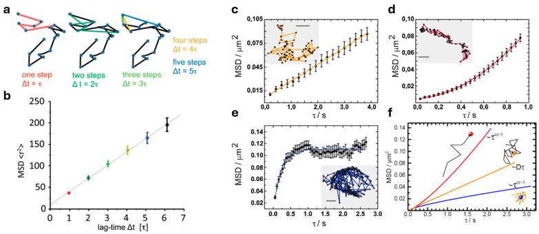 https://cdn.ncbi.nlm.nih.gov/pmc/blobs/1ac1/11354962/9f2c8dd52dfa/ijms-25-08660-g001.jpg