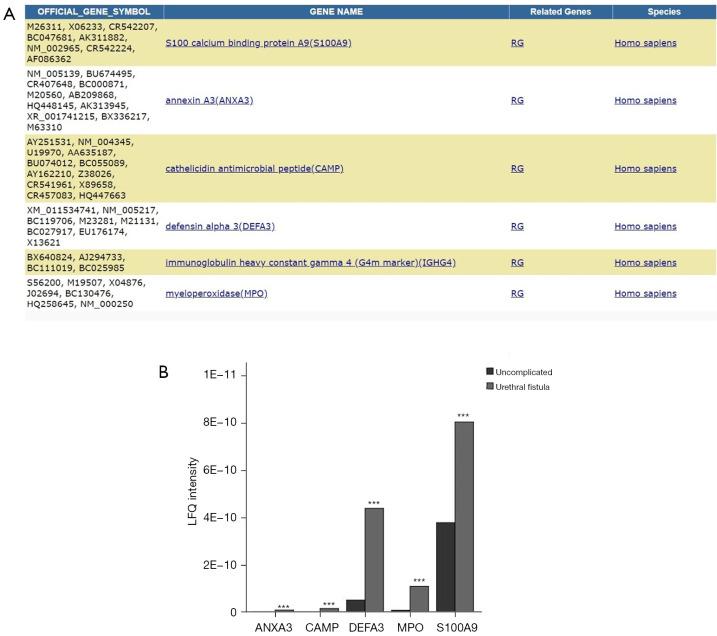 https://cdn.ncbi.nlm.nih.gov/pmc/blobs/1ac1/12079690/189e0c738aac/tp-14-04-571-f2.jpg