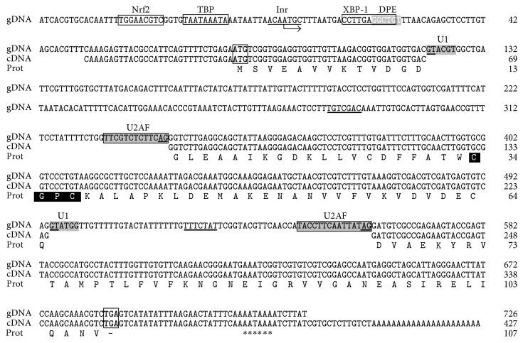 https://cdn.ncbi.nlm.nih.gov/pmc/blobs/1ac3/4452251/859a2c1d30db/BMRI2015-453469.001.jpg