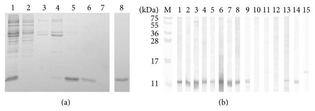 https://cdn.ncbi.nlm.nih.gov/pmc/blobs/1ac3/4452251/d00bd61c8f27/BMRI2015-453469.004.jpg