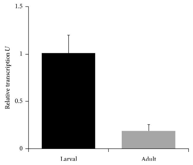 https://cdn.ncbi.nlm.nih.gov/pmc/blobs/1ac3/4452251/e3f775a4d13d/BMRI2015-453469.002.jpg