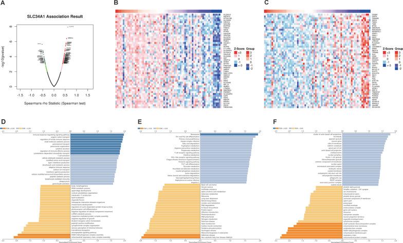 https://cdn.ncbi.nlm.nih.gov/pmc/blobs/1ac5/10044763/34acbc446c9c/12894_2023_1212_Fig7_HTML.jpg