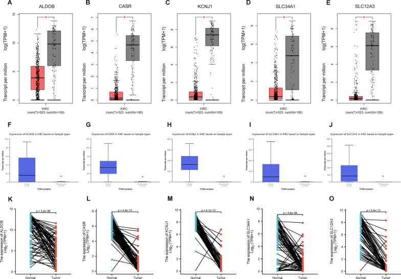 https://cdn.ncbi.nlm.nih.gov/pmc/blobs/1ac5/10044763/3bde6b1bd29d/12894_2023_1212_Fig3_HTML.jpg