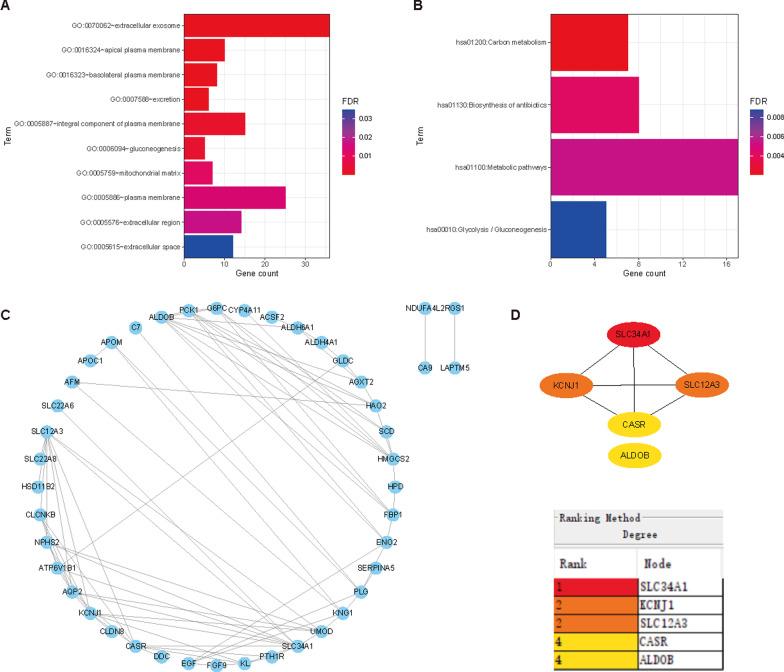 https://cdn.ncbi.nlm.nih.gov/pmc/blobs/1ac5/10044763/9b5449737d55/12894_2023_1212_Fig2_HTML.jpg