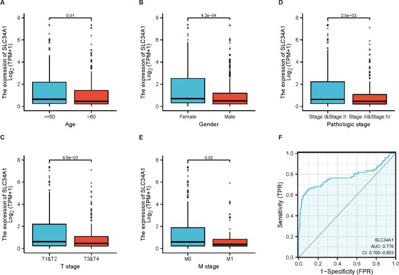 https://cdn.ncbi.nlm.nih.gov/pmc/blobs/1ac5/10044763/9b679bf95fca/12894_2023_1212_Fig6_HTML.jpg