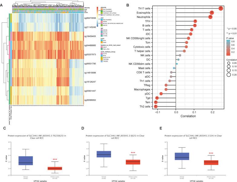 https://cdn.ncbi.nlm.nih.gov/pmc/blobs/1ac5/10044763/a3d280f6bedf/12894_2023_1212_Fig10_HTML.jpg