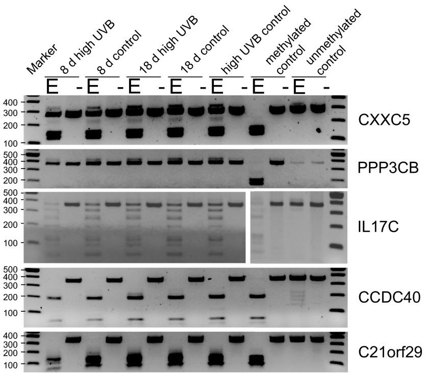 https://cdn.ncbi.nlm.nih.gov/pmc/blobs/1ac5/3901454/4eaa64a94ec8/f1000research-2-853-g0002.jpg