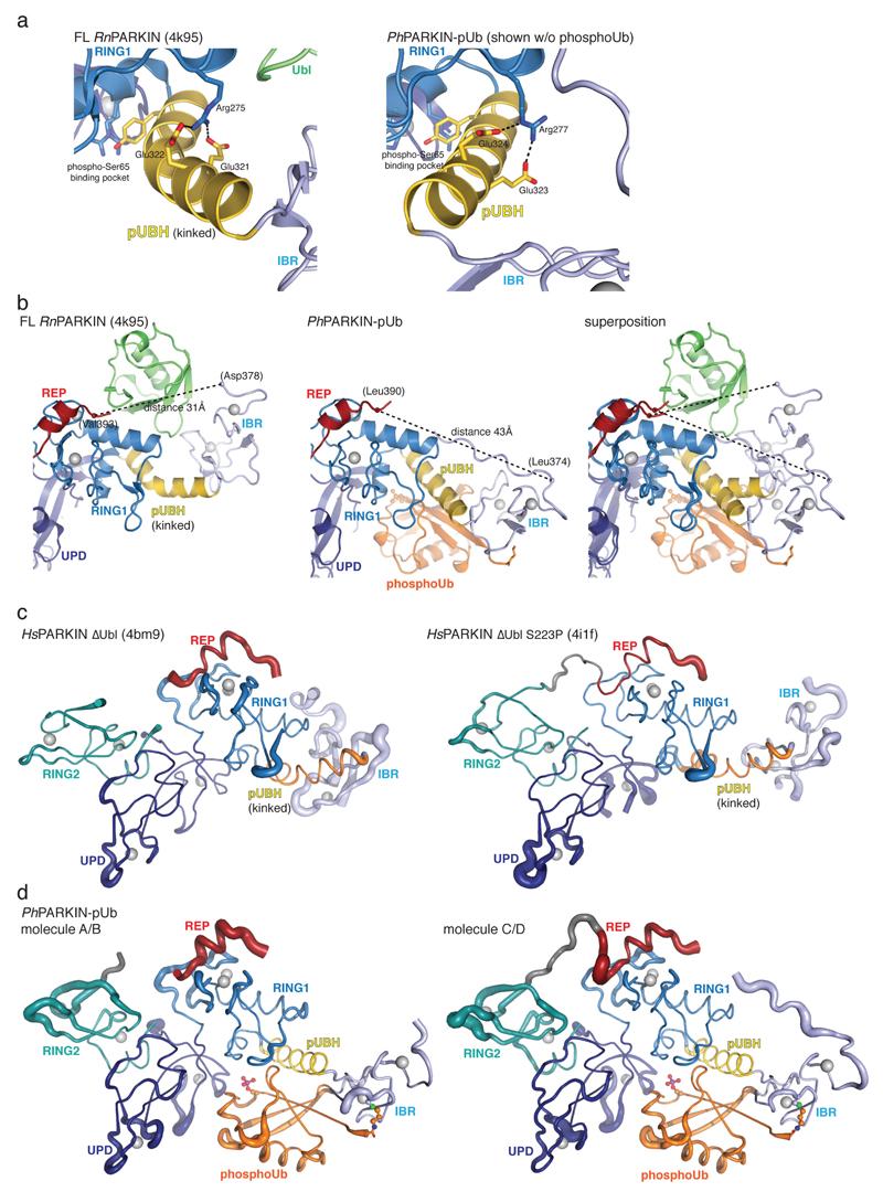 https://cdn.ncbi.nlm.nih.gov/pmc/blobs/1ac8/4984986/03f81365e2b5/emss-64089-f010.jpg