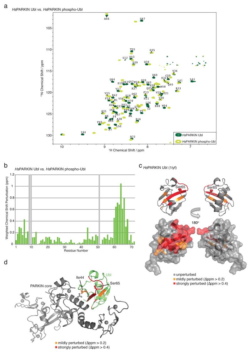 https://cdn.ncbi.nlm.nih.gov/pmc/blobs/1ac8/4984986/3ddcbd87fe10/emss-64089-f012.jpg