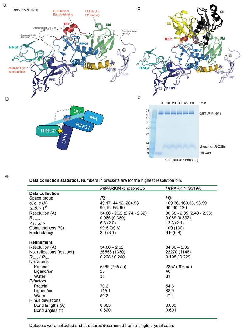 https://cdn.ncbi.nlm.nih.gov/pmc/blobs/1ac8/4984986/cc2e72a44a2d/emss-64089-f005.jpg
