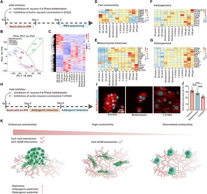 https://cdn.ncbi.nlm.nih.gov/pmc/blobs/1aca/12358751/3978b24be7c8/research.0810.fig.005.jpg