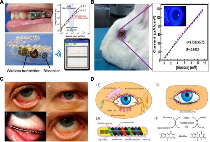 https://cdn.ncbi.nlm.nih.gov/pmc/blobs/1acb/8416677/aaacd2b9fb06/fbioe-09-733810-g003.jpg