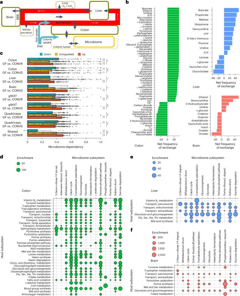 https://cdn.ncbi.nlm.nih.gov/pmc/blobs/1acc/11964932/02fe09fd07e4/41564_2025_1959_Fig3_HTML.jpg
