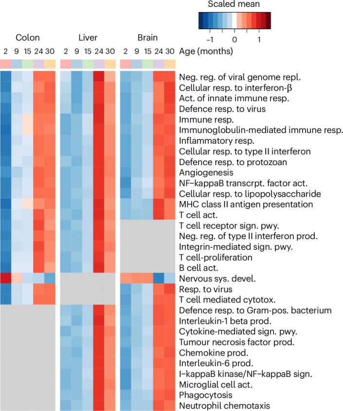 https://cdn.ncbi.nlm.nih.gov/pmc/blobs/1acc/11964932/5e6ee0922d02/41564_2025_1959_Fig5_HTML.jpg