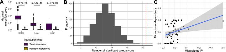 https://cdn.ncbi.nlm.nih.gov/pmc/blobs/1acc/11964932/648be386155d/41564_2025_1959_Fig9_ESM.jpg