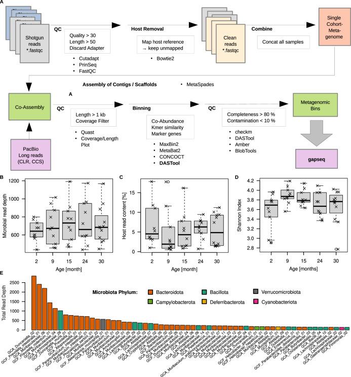 https://cdn.ncbi.nlm.nih.gov/pmc/blobs/1acc/11964932/780c5d5820cd/41564_2025_1959_Fig7_ESM.jpg
