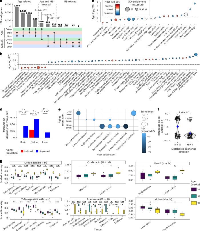 https://cdn.ncbi.nlm.nih.gov/pmc/blobs/1acc/11964932/a621ba8d3434/41564_2025_1959_Fig6_HTML.jpg