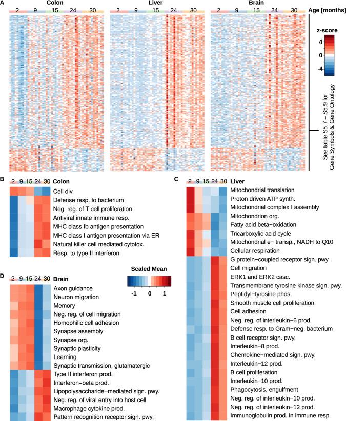 https://cdn.ncbi.nlm.nih.gov/pmc/blobs/1acc/11964932/f77b2ff8a6bf/41564_2025_1959_Fig11_ESM.jpg