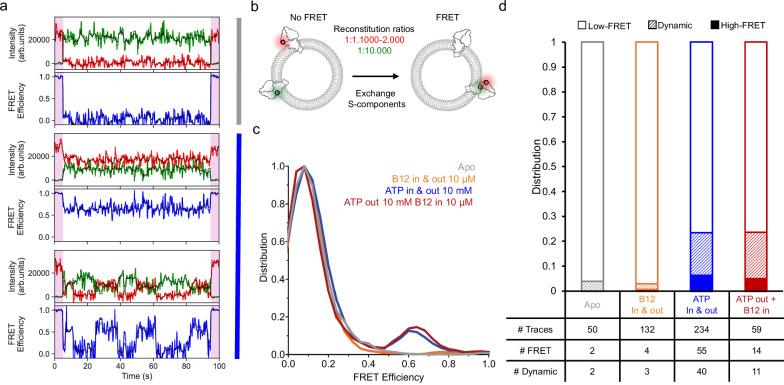 https://cdn.ncbi.nlm.nih.gov/pmc/blobs/1acc/12075633/59885a536638/41467_2025_59674_Fig3_HTML.jpg