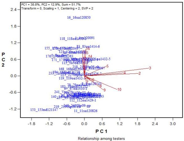 https://cdn.ncbi.nlm.nih.gov/pmc/blobs/1acc/6176118/0bbb7a3a05e8/fpls-09-01302-g011.jpg