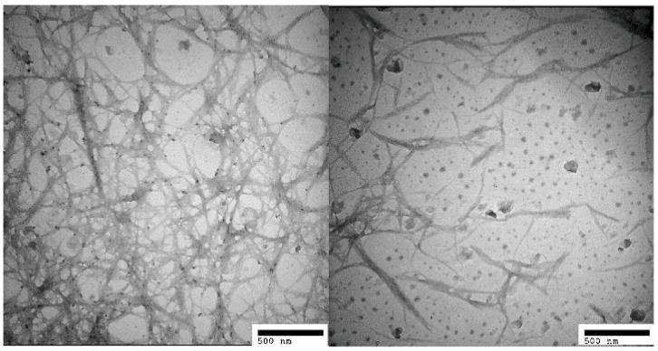 https://cdn.ncbi.nlm.nih.gov/pmc/blobs/1ace/6432191/28b2e579e488/polymers-08-00349-g004.jpg