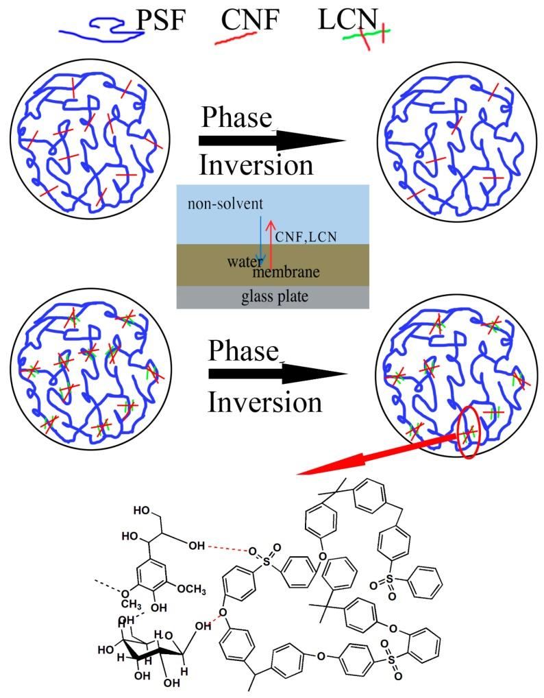 https://cdn.ncbi.nlm.nih.gov/pmc/blobs/1ace/6432191/55222dd142dc/polymers-08-00349-g002.jpg